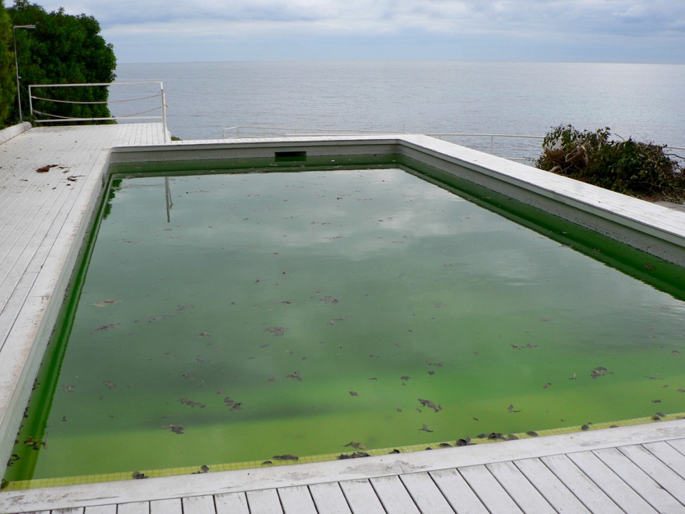 eau piscine verte