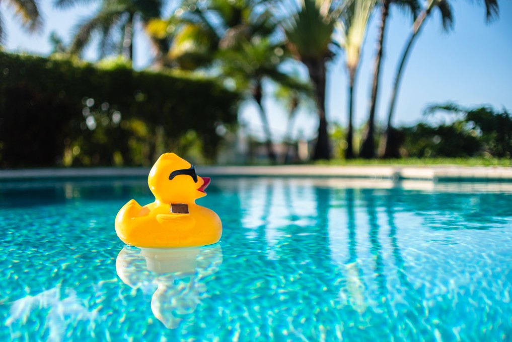 piscine nettoyé