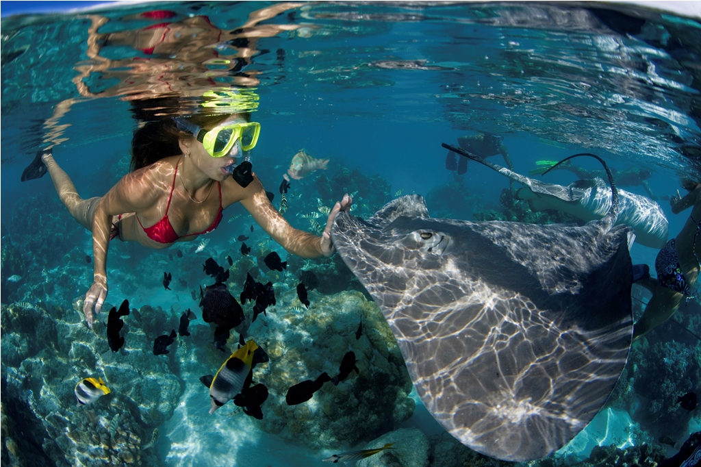 plongée libre dans les îles Galapagos