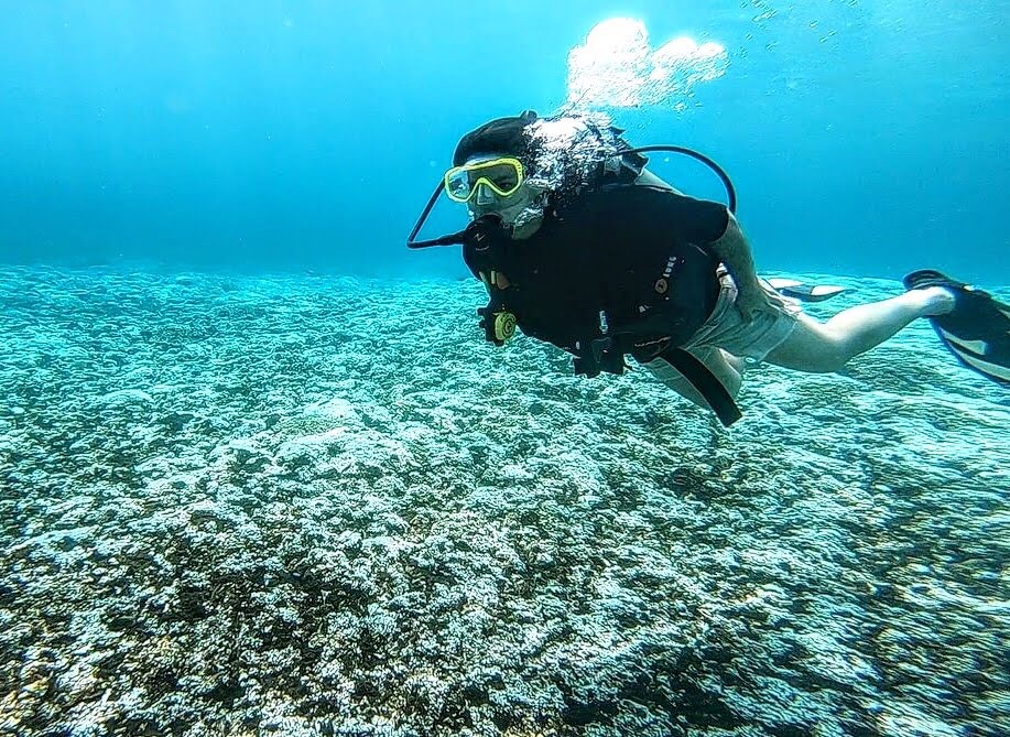 plongée sous marine