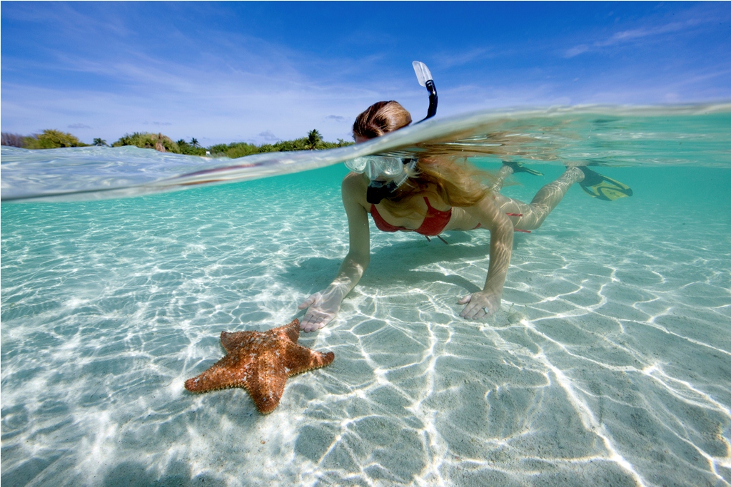 snorkeling dans les îles Galapagos